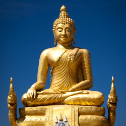 Zlatý Buddha